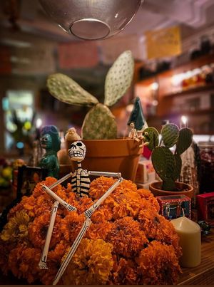  at Nopal in Vlissingen