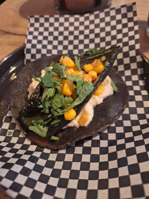  at Nopal in Vlissingen