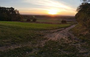  at Dorfcafé Worpswede in Worpswede