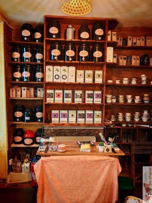 Large choice of teas at Mimosa in Poitiers