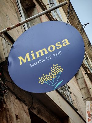Logo at Mimosa in Poitiers