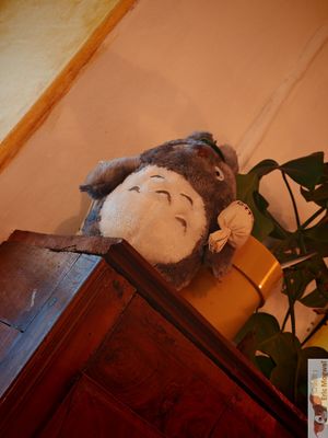 Japanese deco at Mimosa in Poitiers