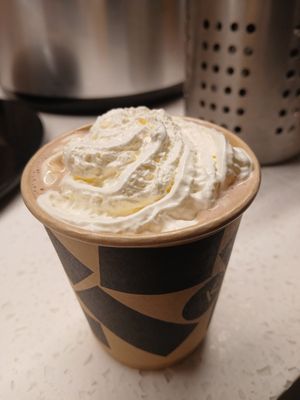 54% oat milk & vegan whipped cream at Knoops in Bath