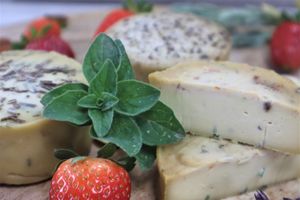 RAW ACTIVATED & FERMENTED CASHEW CHEEZES at Healthy Delicious in Pareklisia