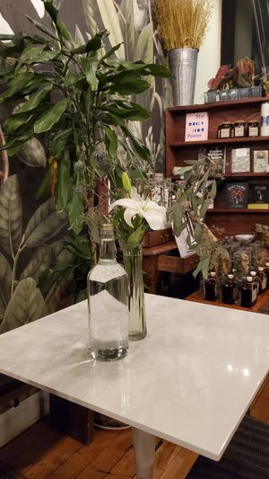  at Evergreen Room in Hudson