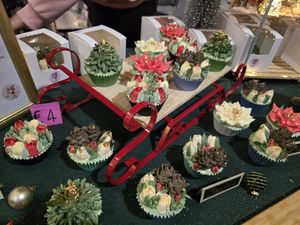 At Veganworld, Kerstbeurs, Hasselt at Blooming Art - No Storefront in Maaseik