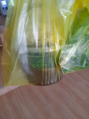 My take away at Phở chay 41 in Ho Chi Minh City