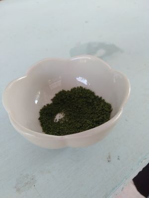  at Wolffia Futuro in Bangkok