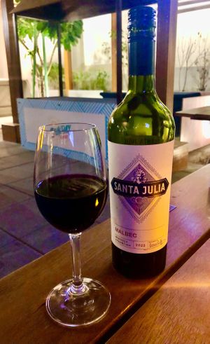 Vegan red wine at Village Bistro - The First Collection in Dubai