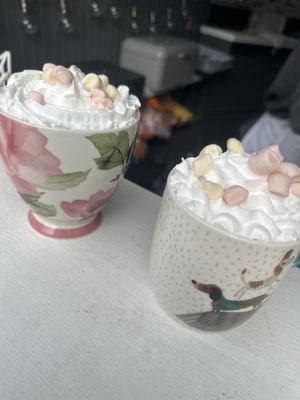   at Cats Whiskers Food Truck in Ashford