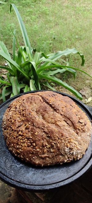  at Prakriti Cafe by Ecolivinghomes in Pushkar