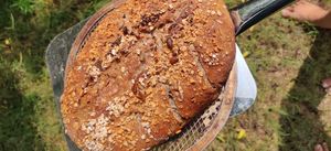 Multi grain Sour Dough bread at Prakriti Cafe by Ecolivinghomes in Pushkar
