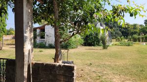 Serene garden setting away from the chaos of town at Prakriti Cafe by Ecolivinghomes in Pushkar