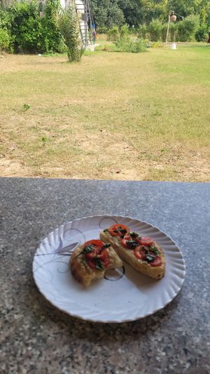 Fresh soughdough with tomato and basil at Prakriti Cafe by Ecolivinghomes in Pushkar