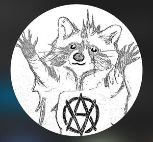   at Mapache Radical in Queretaro