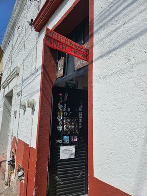  at Mapache Radical in Queretaro