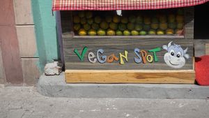 A smiling HappyCow in the entrance of The Juice House.  at The Juice House in Rishikesh