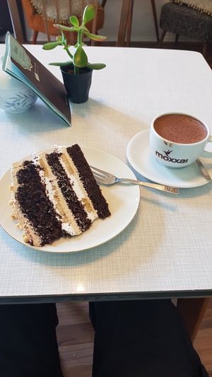  at Cafe Hibiskus in Cologne