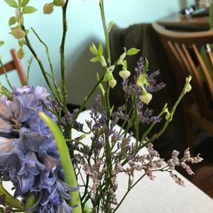 inside at Cafe Hibiskus in Cologne