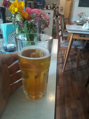 kombucha at Cafe Hibiskus in Cologne