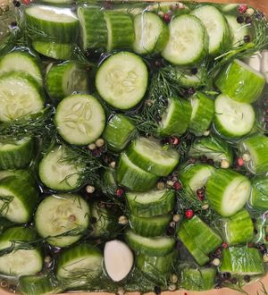 Housemade dill pickles at Moonshadow Kitchen - Cloud Kitchen in Himrod