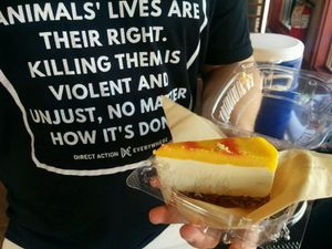 the best mango cheese cake in the world!  at Evolution Bakery and Cafe in Kailua Kona