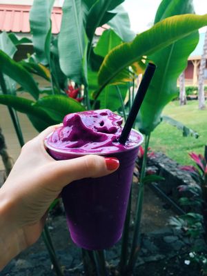 Dragonfruit Smoothie at Evolution Bakery and Cafe in Kailua Kona