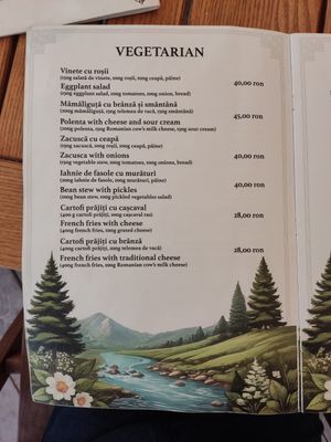 Vegetarian - some vegan (not stated) at Cabana Paltinu in Sibiu