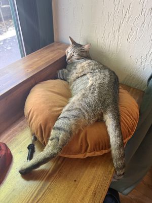 Décoration😄  at Roots Cafe in Chambery