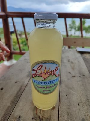 Local Kombucha at Luna y Sol Atitlán - Co-living & Restaurante Vegetariano in San Pedro La Laguna