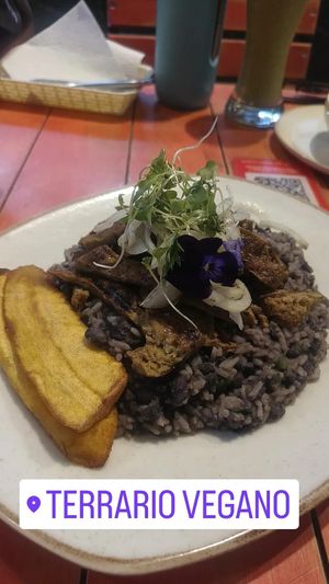  at Terrario in Bogota