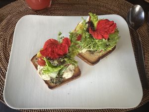 Cassava bread toast w/ cashew cheesee  at Sakti Dining Room in Mambal