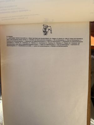 Allergenübersicht  at Alter Simpl in Munich