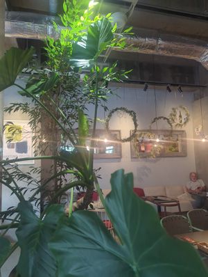 Interior at Etranger Narad in Nara