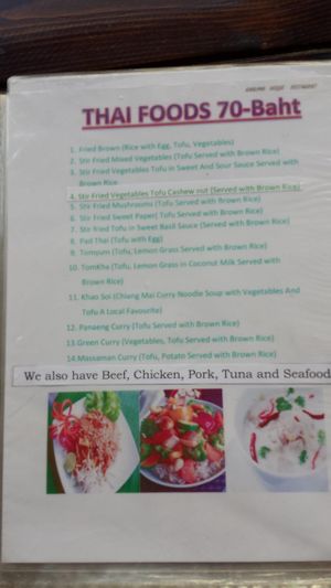 picture of menu clearly states the meat options at Kanlaya Vegetarian in Chiang Mai