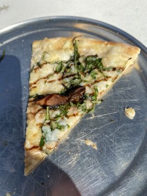 The Temptation Pizza without pineapple at Gaines Street Pies in Tallahassee