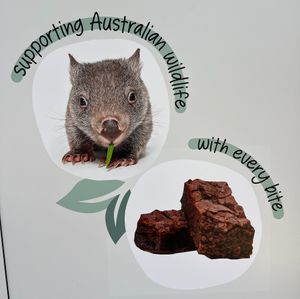 Supporting wildlife rescue at Sugar Glider in Richmond