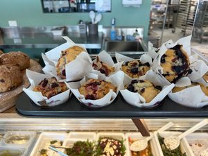  at Sugar Glider in Richmond