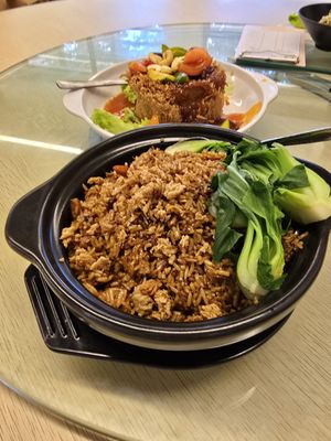 Claypot Rice at Nature Vegetarian Delights 大自然素食餐馆 - Bukit Batok in West Singapore
