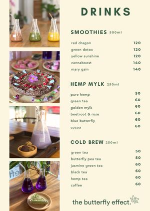  at The butterfly effect. in Chiang Mai