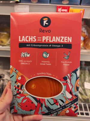 Salmon at Mondo Vegan in Salo