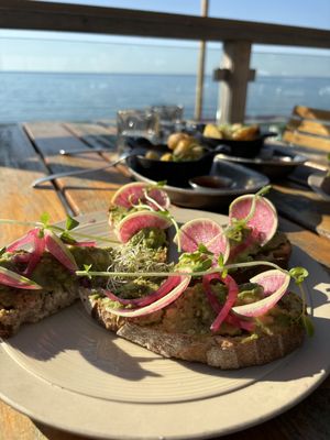 Avocado toast   at Drake Devonshire Inn  in Wellington