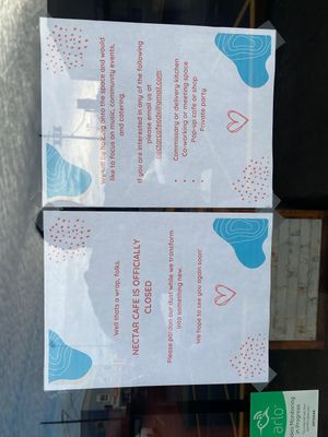   at Nectar Cafe in Portland