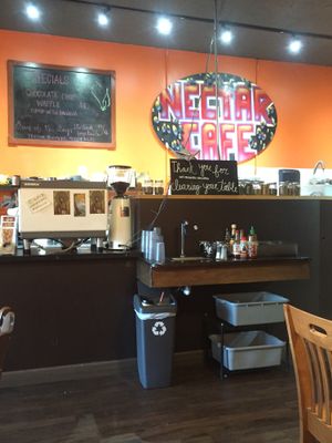 Order at the counter at Nectar Cafe in Portland