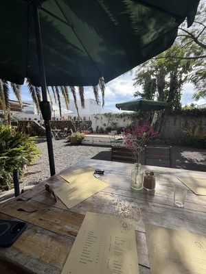   at La Papaya in La Palma