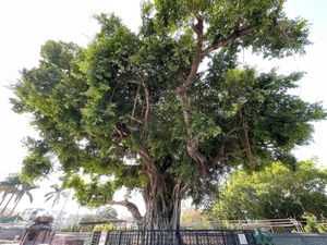 Outside the eatery (Photo by Baron Yeung) at Tin Hau Temple - 大樹下天后古廟齋菜食堂 in New Territories