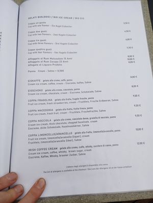 Vegan ice creams at Ledro Nature Art Cafe & Shop in Ledro