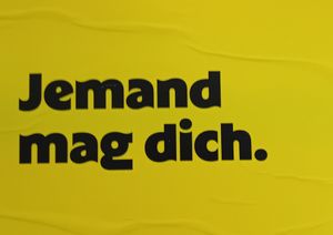 Es gab Com Teryiaki mit Tofu und mit Hühnerbrust (Bild aus dem Postkartenständer vor dem Restaurant)
There was Com Teryiaki with tofu and with chicken breast (picture from the po at Tokymon Chay in Frankfurt