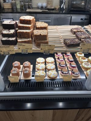   at Land & Monkeys in Bordeaux