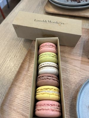   at Land & Monkeys in Bordeaux